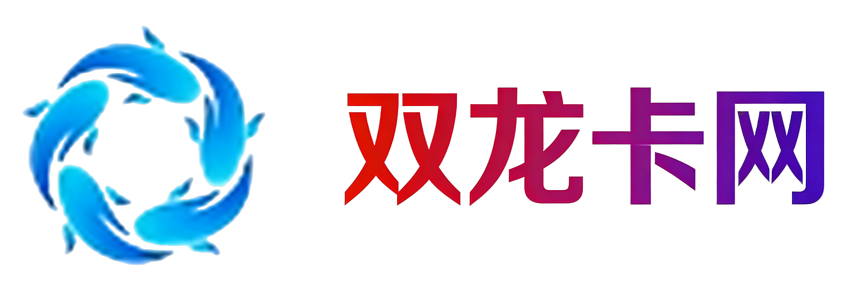 双龙卡网 - 王者荣耀智能辅助软件平台
